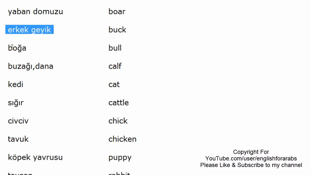 Animals names in Turkish part 1 - Turkish For Beginners