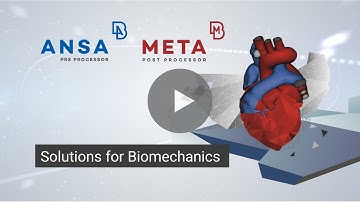 BETA CAE Systems Solutions for Biomechanics
