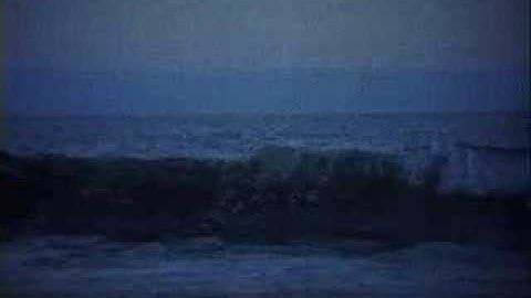 Tren Brothers "Angel #1" Music Video