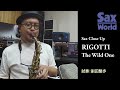 サックス・ワールド　RIGOTTI The Wild One Reeds　 試奏動画