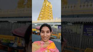 మైసూర్ చాముండేశ్వరి అమ్మవారి టెంపుల్ కి వెళ్ళాము 🙏🥰#shortsfeed #ytshorts #temple #ammuchintuvlogs
