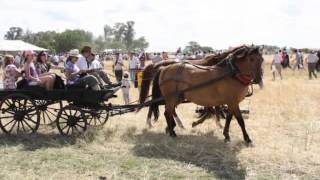 Video oficial Santa Anita Country Fest Nro 1