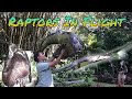 Philippine Eagle | Raptors in Flight | Part 2 | Jidak