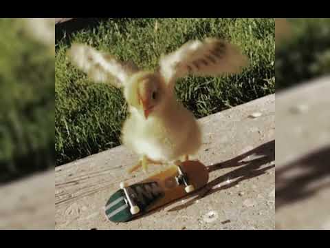 Drunk Nasty Be My Bitch Speed Up 