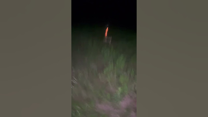 WELCOME TO THE JUNGLE ROCKET FIREWORK! 🚀 #firework #pyrotechnic #oklahoma #2023 #shorts