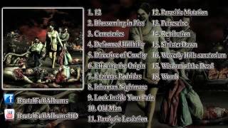 Brutal Full Albums - Brutal Death Metal \u0026 Slamming Brutal Death Metal (COMPILATION 2013/HD)