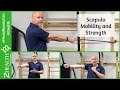 Scapula Strength and Mobility