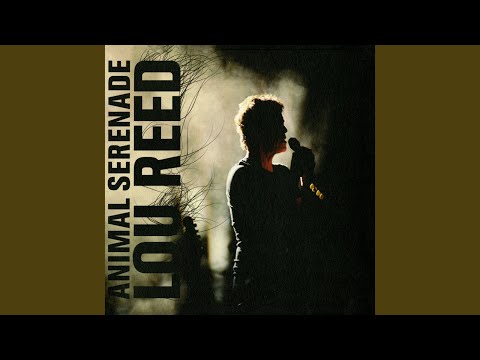 Dirty Blvd. (Live)