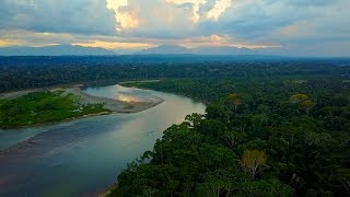 Sunset drone flight deep in Amazon Jungle, Bolivia