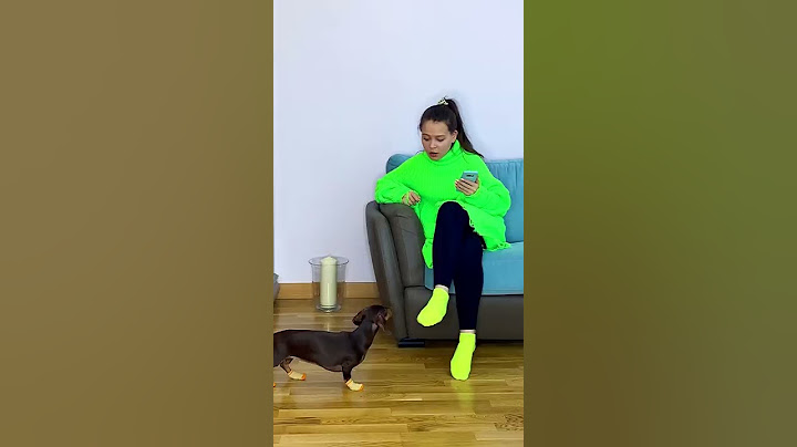АРИАНА ВСЕГДА СПАСАЕТ ТОСЮ❤🙈