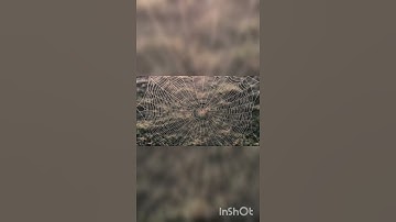 مقطع رائع من سورة العنكبوت القارئ ماجد الزامل 2022