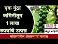 #Black_Pepper मिरी पिकासाठी वर्टीकल गार्डन पद्धतीने लागवड | एका गुंठ्याला एक लाख रुपये मिळतय उत्पन्न