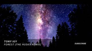 Tony Igy - Forest (The Husky Remix)