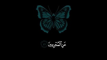 تلاوة خاشعة مبكية  جميلة جدا 😌❤️  حالات واتس اب محمدعبد القوى