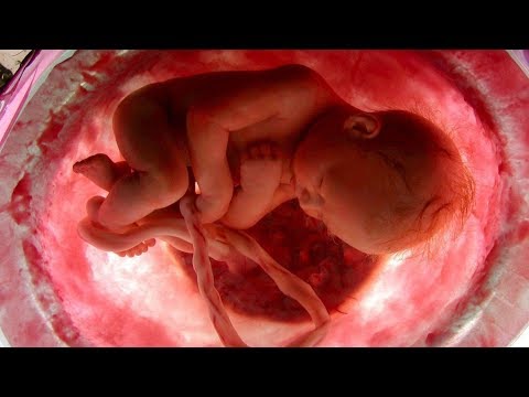 Video: Cum Respiră Bebelușii în Pântece?