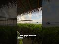 El Dorado Maroma cleans their beach from seaweed every day, ensuring a nice clean beach