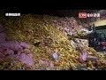 先人托夢沒收到紙錢？林燕祝批市府量能不足