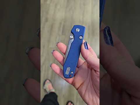 Vosteed Raccoon in blue