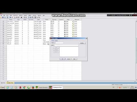 SPSS _ მანიპულაციები მონაცემთა ბაზაზე _ რეკოდირება