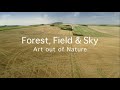 Forest field  sky  art out of nature bbc