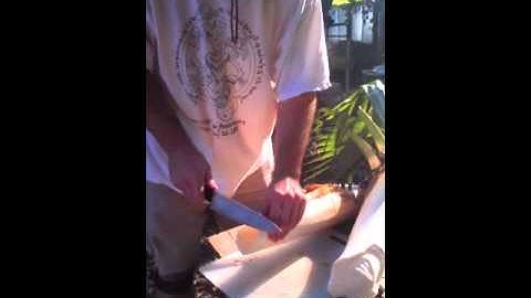 Harvesting Heart of Palm