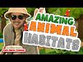 Amazing Animal Habitats Jack Hartmann 