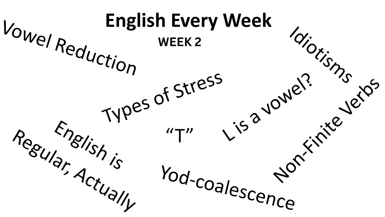 Week 2: T, Schwa, Vowel Reduction, Stress, Commonly Confused Words (1), Verb Forms (2)