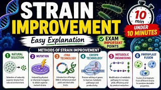 Strain Improvement Explained | Methods, Objectives & Applications