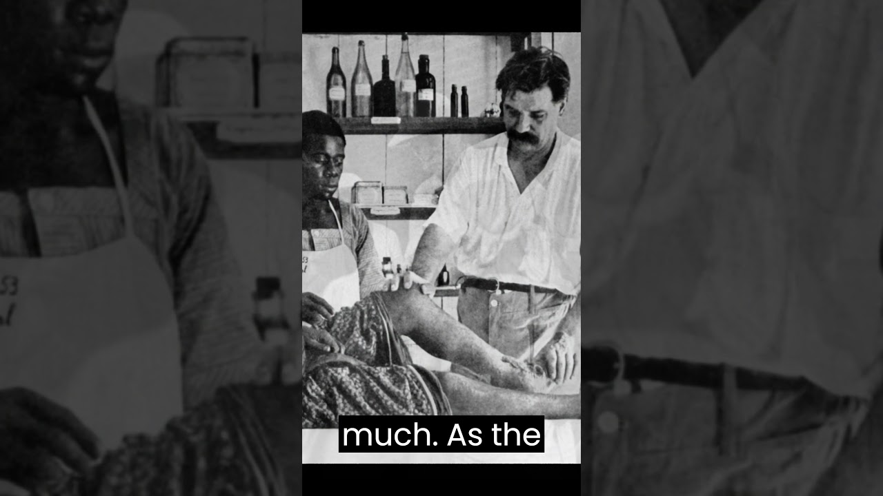 Albert Schweitzer Quotes 