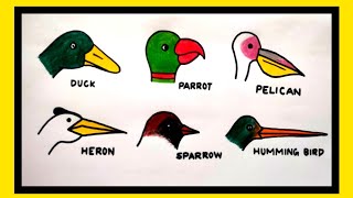 birds beak drawing|beaks of bird drawing|how to draw different types of beaks of bird