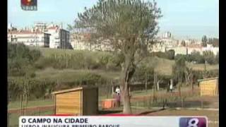 Hortas em Lisboa - Quinta da Granja - TVI