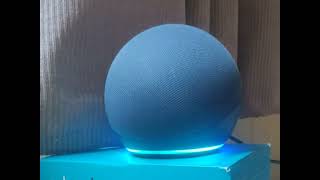 Piadas da Alexa da echo dot. T05E06