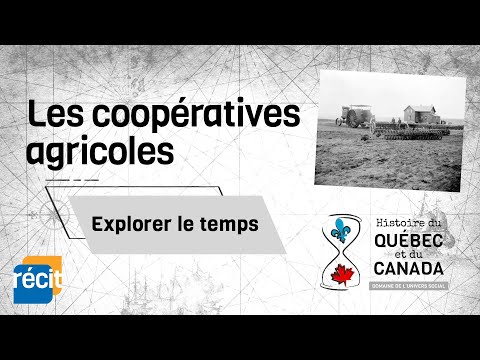 Vidéo: Comment les coopératives aident-elles les agriculteurs?