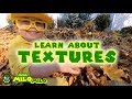 Learn about Textures | Mega Milo