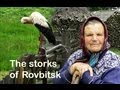 The storks of Rovbitsk | Film Studio Aves