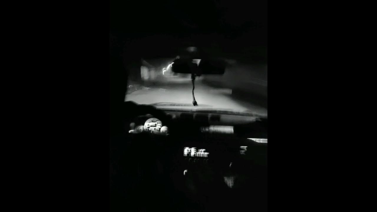 Я увезу твою