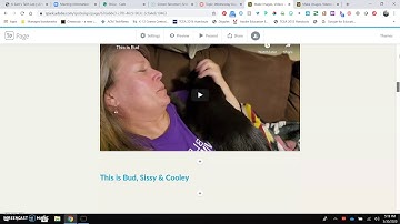 Adobe Spark Page & Canvas Assignment Submit