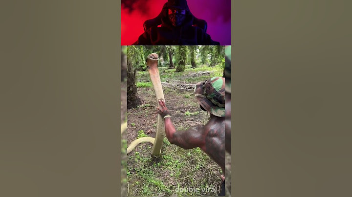 #amazing #foryou #kingcobra #crazy #omg #snaketamer #viral #trend #funny #wtf