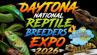 Daytona National Reptile Breeders Expo 2026. Insane Reptiles (full walk-through)