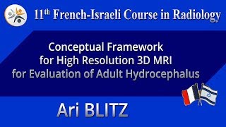 Conceptual Framework for High Resolution 3D MRI for Evaluation of Adult Hydrocephalus - Ari BLITZ