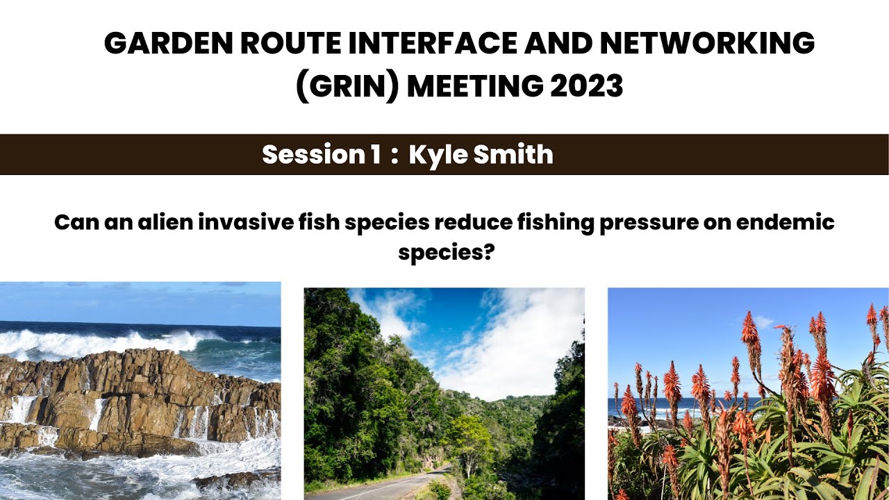 Can an alien invasive fish species reduce fishing pressure on endemic species