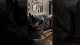 Storms Favorite Show