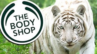 The Body Shop Foundation Invites NYC Beauty Editors to Visit Big Cat Rescue