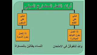 الثانوية العامة - دفعة التابلت ٢٠٢١ - حالات بناء الفعل المضارع