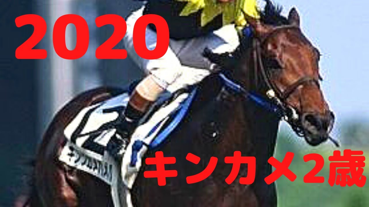 Pog 年キングカメハメハの有力2歳馬 アルマドラード ククナ キングヴァンドーム レーヴドモンド Youtube