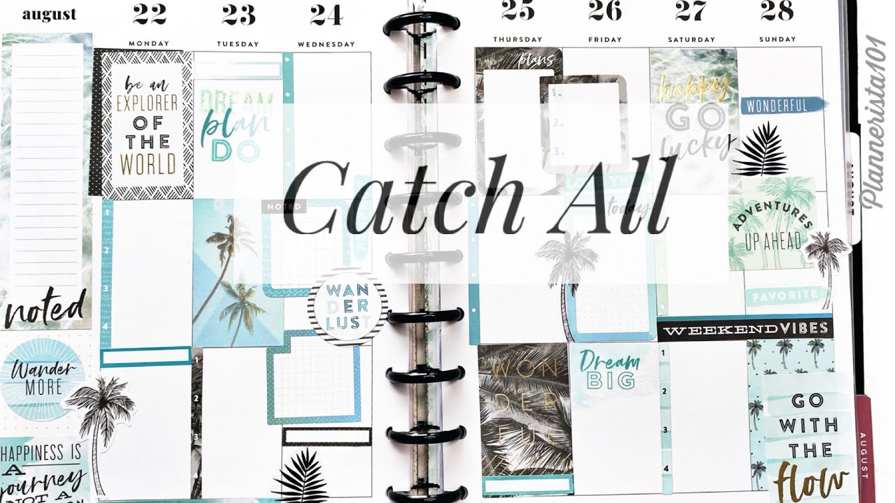 Plan With Me August 2228 Catch All Planner Happy Planner Happy