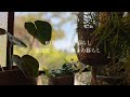 【古民家暮らしのvlog】生命の息吹/春の庭/猫と暮らすう