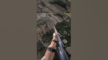 Baboon Hunt! #helicopterhunting#pestcontrol