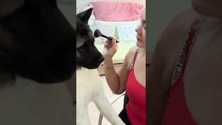 Secrets of a Cheerful Morning Makeup Assistant-Funny Akita Dog