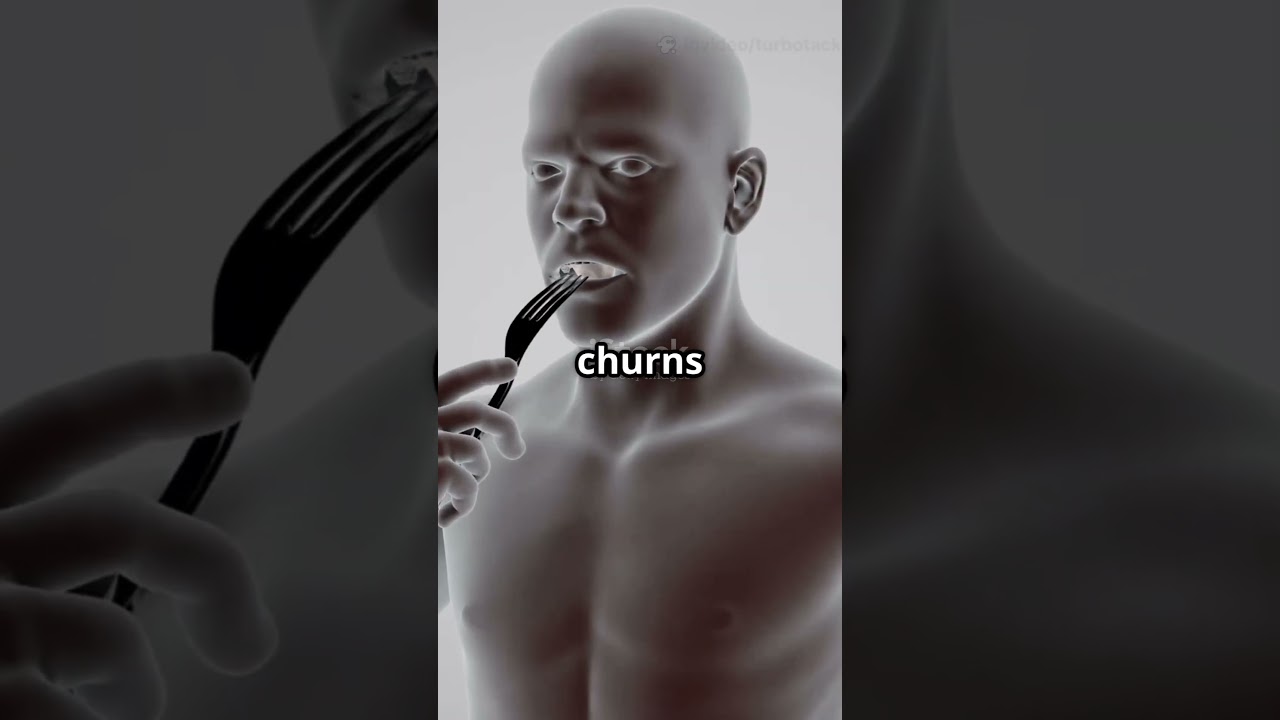 How Long Does Your Food Take to Digest?